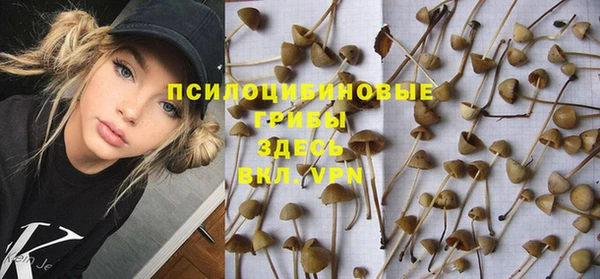 соль ск Абдулино