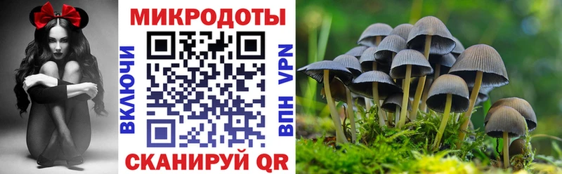 наркотики  Полтавская  Галлюциногенные грибы мухоморы 