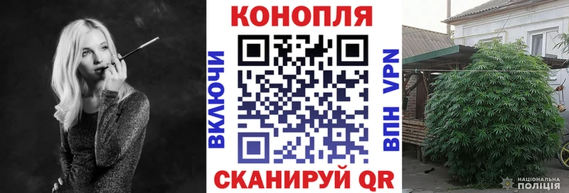 omg рабочий сайт  Полтавская  Канабис планчик 